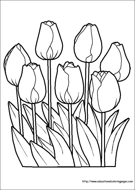 Flower Coloring Coloring Pages Free For Kids 567x794 Flower Coloring Coloring Pages Free For Kids