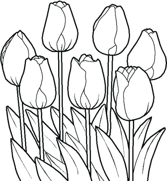 Free Flower To Print Collection Drawn In Color Free 1 Free 580x630 Free Flower To Print Collection Drawn In Color Free 1 Free