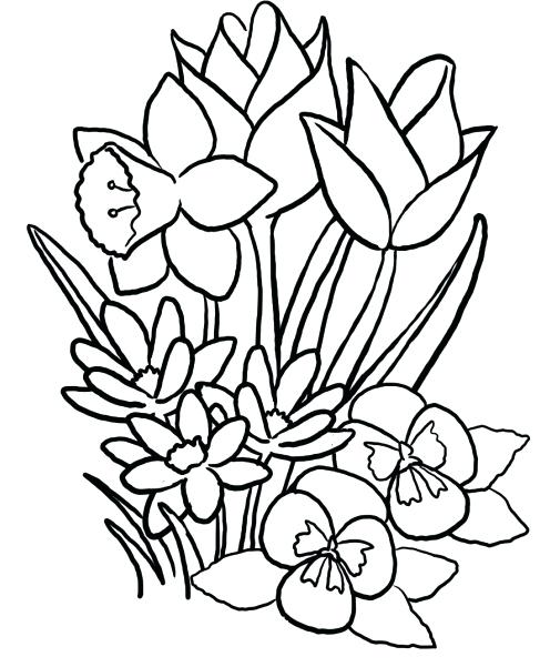 Free Spring Flowers Coloring Pages Printable Free Coloring Book 496x601 Free Spring Flowers Coloring Pages Printable Free Coloring Book