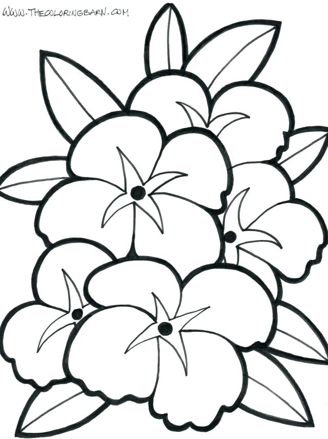 Coloring Pages Of Flowers Flower Coloring Pages For Kids To Print 640x856 Coloring Pages Of Flowers Flower Coloring Pages For Kids To Print