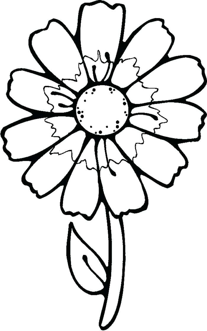 700x1118 Free Printable Flowers To Color Coloring Page Flower Coloring