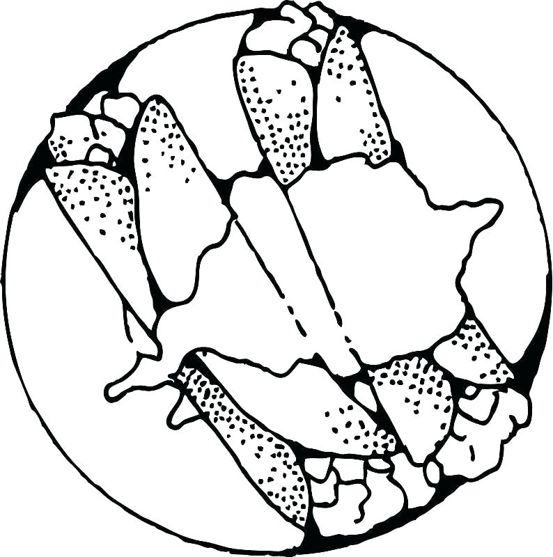 794x800 Printable Food Pictures Cards Food Group Coloring Pages Also Free