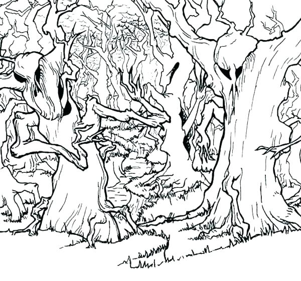 Enchanted Forest Coloring Pages For Adults Page Best Coloring 600x561 Enchanted Forest Coloring Pages For Adults Page Best Coloring