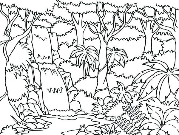 Forest Coloring Pages Forest Coloring Page Rain Forest Coloring 600x453 Forest Coloring Pages Forest Coloring Page Rain Forest Coloring