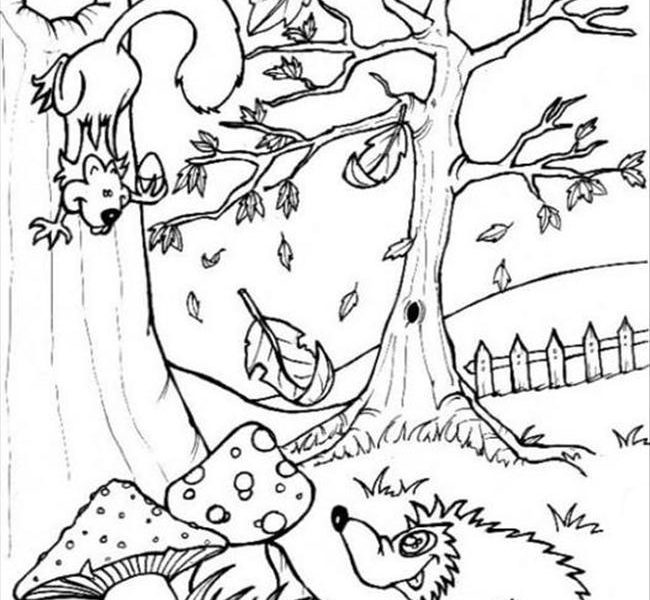 Forest Coloring Pages Printable Coloring Page 650x600 Forest Coloring Pages Printable Coloring Page