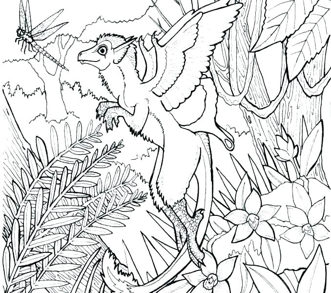 Forest Coloring Pages Printable Enchanted Forest Coloring Pages 678x600 Forest Coloring Pages Printable Enchanted Forest Coloring Pages