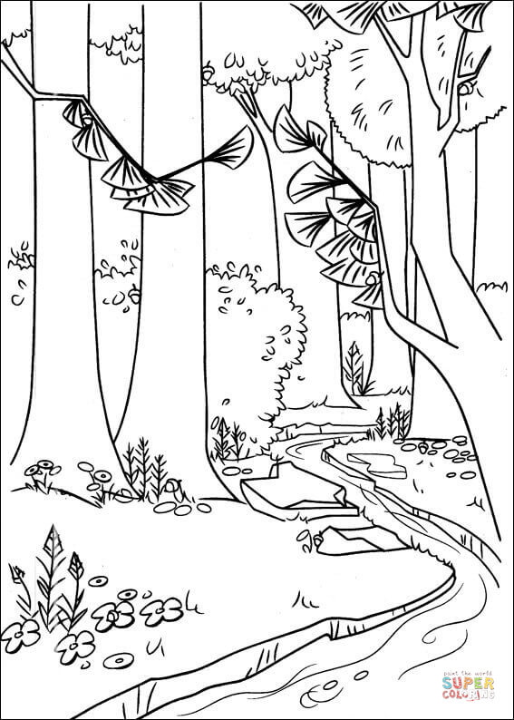 Forest Coloring Pages Printable A River In The Forest Coloring 567x794 Forest Coloring Pages Printable A River In The Forest Coloring