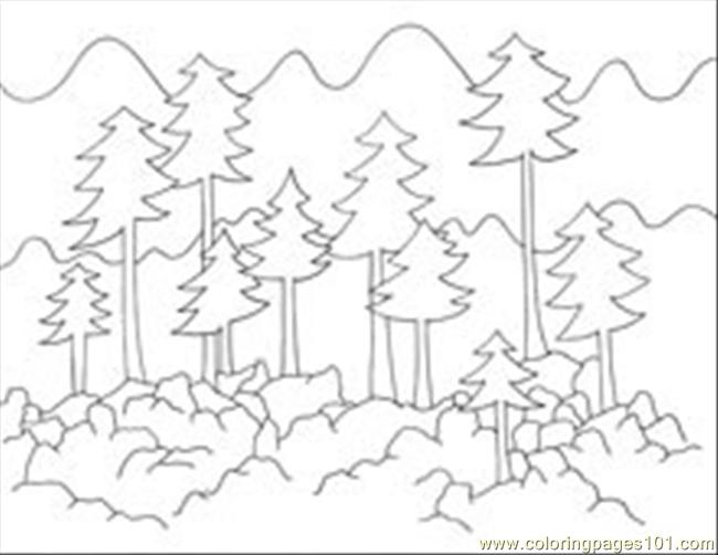 Foresttrees Coloring Page 650x502 Foresttrees Coloring Page