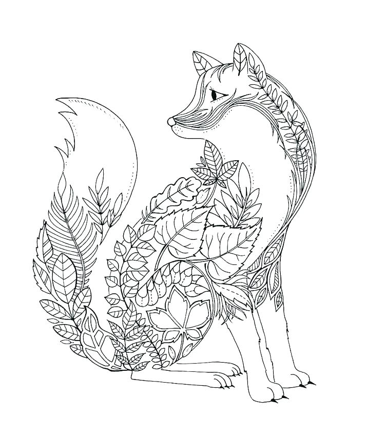 Fox Coloring Fox Coloring Pages Online 750x849 Fox Coloring Fox Coloring Pages Online