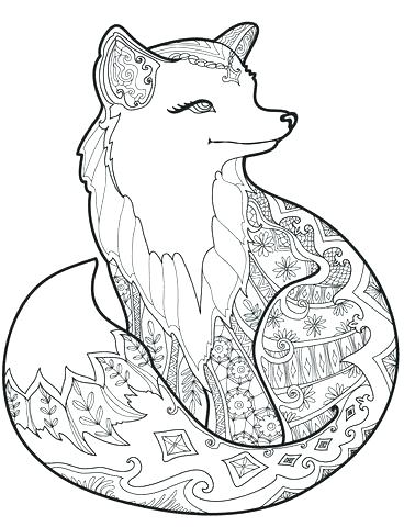 Fox Coloring Pages Elegant Stone Fox Coloring Pages Kids Best Page 368x480 Fox Coloring Pages Elegant Stone Fox Coloring Pages Kids Best Page