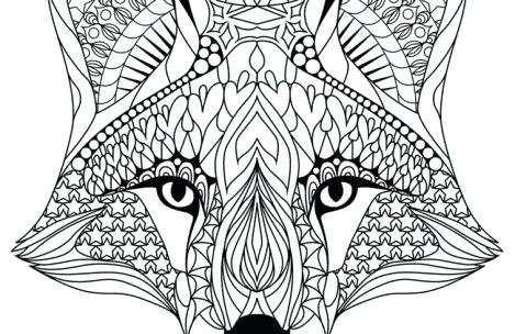 Fox Coloring Pages Fox Coloring Pages For Adults Fox Coloring 469x304 Fox Coloring Pages Fox Coloring Pages For Adults Fox Coloring