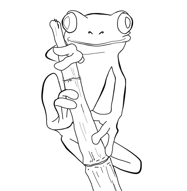 Free Frog Coloring Pages