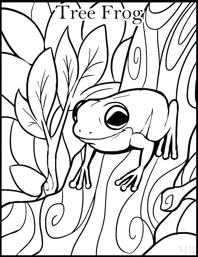 640x828 Coloring Page Of A Frog Frogs Coloring Pages Frog Colouring Page