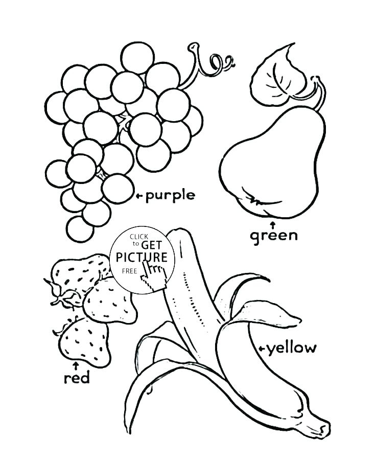 Free Apple Coloring Pages Fruit Basket Coloring Pages Fruit 736x900 Free Apple Coloring Pages Fruit Basket Coloring Pages Fruit