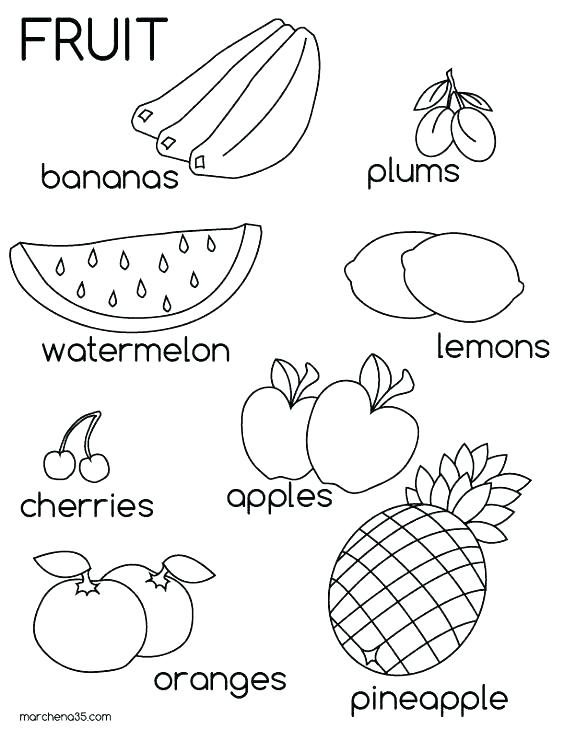 Free Fruit Coloring Pages Printable Vegetable Coloring Pages 564x729 Free Fruit Coloring Pages Printable Vegetable Coloring Pages