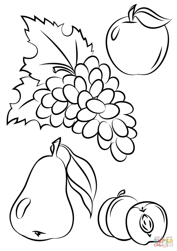 Autumn Fruits Coloring Page Free Printable Pages For Fruit 724x1024 Autumn Fruits Coloring Page Free Printable Pages For Fruit