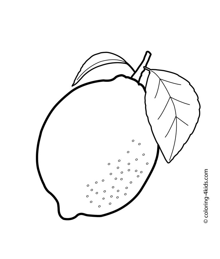 One Lemon Fruits Coloring Pages For Kids, Printable Free 736x865 One Lemon Fruits Coloring Pages For Kids, Printable Free