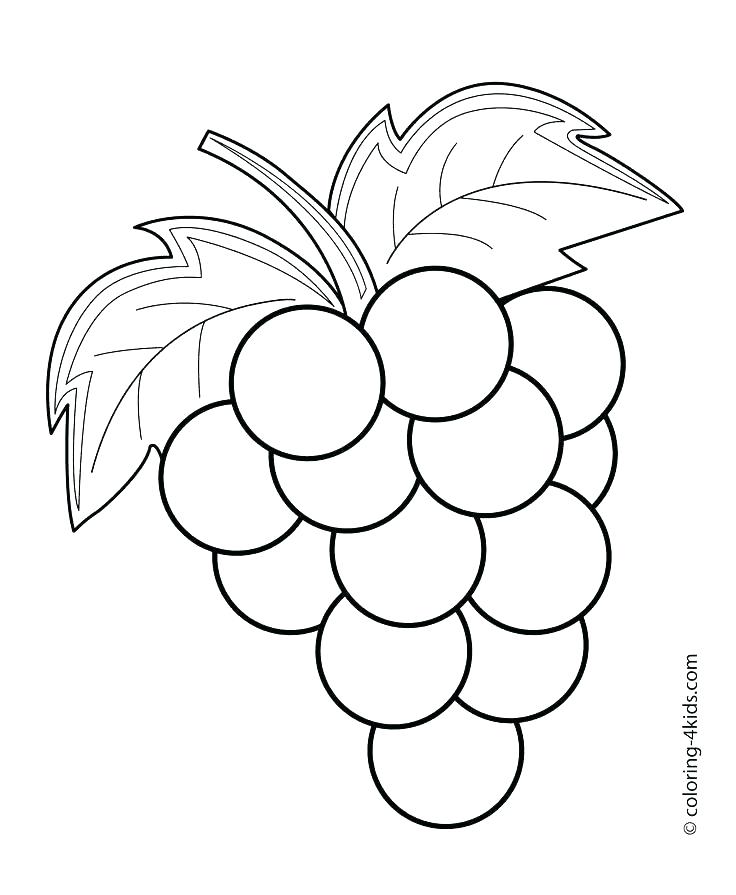 Printable Fruit Flashcards Kids Coloring Fruit Color Pages Fruits 736x895 Printable Fruit Flashcards Kids Coloring Fruit Color Pages Fruits
