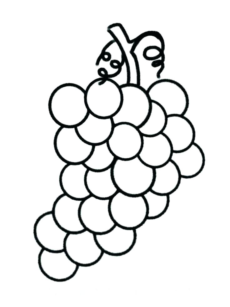 Unique Fruits And Veggies Coloring Pages Or Vegetable Coloring 736x981 Unique Fruits And Veggies Coloring Pages Or Vegetable Coloring