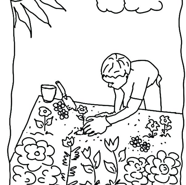 Garden Coloring Pages Vegetable Coloring Page Free Coloring Pages 603x600 Garden Coloring Pages Vegetable Coloring Page Free Coloring Pages