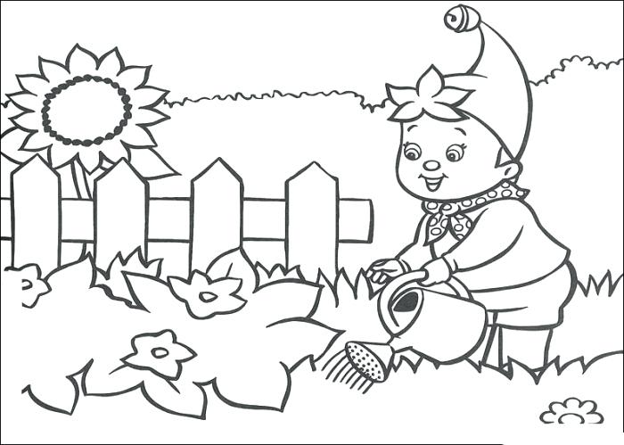 Garden Coloring Sheets Gardening Coloring Pages Noddy And Plants 700x499 Garden Coloring Sheets Gardening Coloring Pages Noddy And Plants