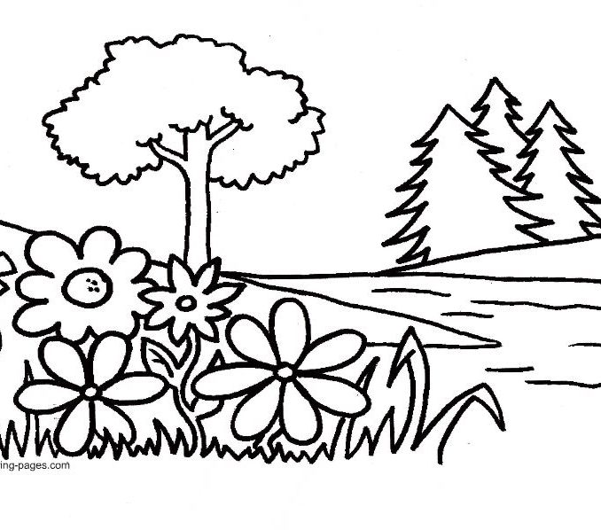 Garden Pictures To Color Flower Garden Coloring Pages To Download 678x598 Garden Pictures To Color Flower Garden Coloring Pages To Download