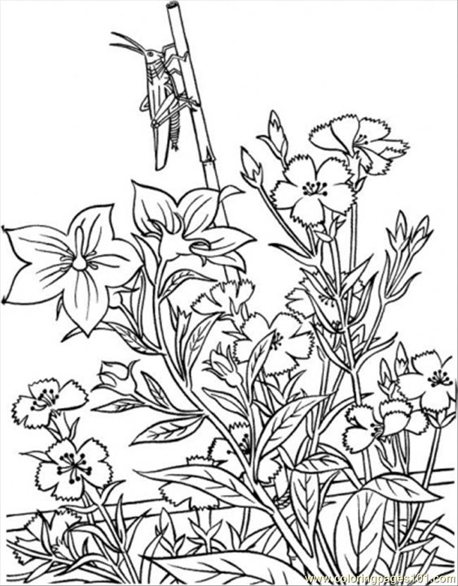 Opper In Garden Coloring Page Coloring Page 650x832 Opper In Garden Coloring Page Coloring Page