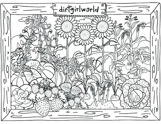 Vegetable Garden Coloring Page Vegetable Garden Coloring Sheets 618x475 Vegetable Garden Coloring Page Vegetable Garden Coloring Sheets