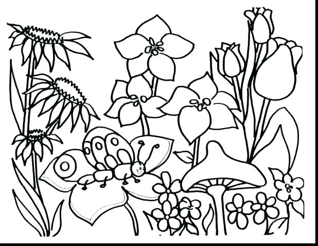 Free Coloring Pages Flowers Free Printable Coloring Pages Flowers 618x478 Free Coloring Pages Flowers Free Printable Coloring Pages Flowers