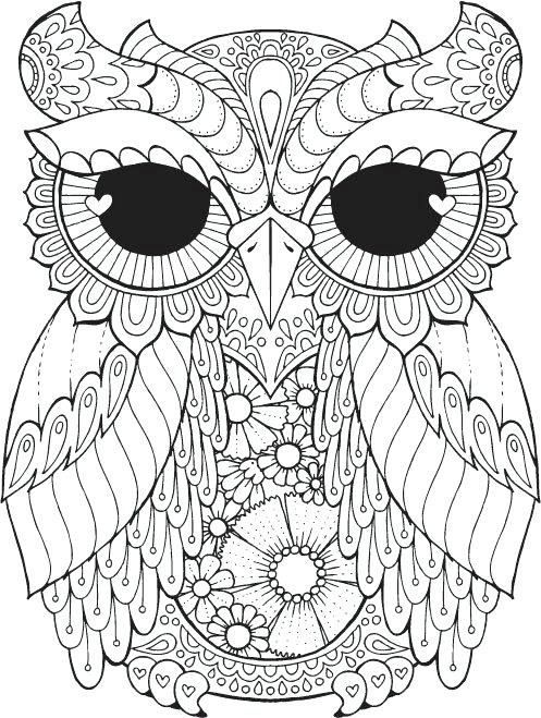Peacock Coloring Pages Colouring Pages Adults Online Free 497x659 Peacock Coloring Pages Colouring Pages Adults Online Free