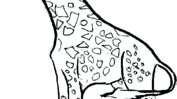 Giraffe Coloring Pages Printable Giraffe Coloring Page Free 585x329 Giraffe Coloring Pages Printable Giraffe Coloring Page Free