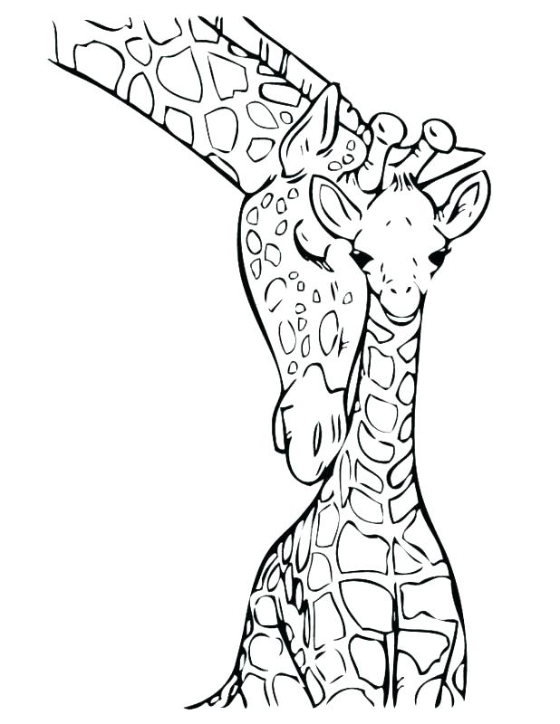 Giraffes Coloring Pages Giraffe Coloring Book Page Printable 618x800 Giraffes Coloring Pages Giraffe Coloring Book Page Printable