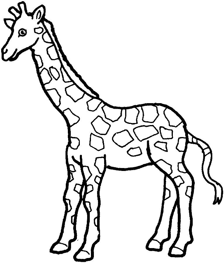 Simple Giraffe Outline Print Out And Color Pictures Of A Variety 766x900 Simple Giraffe Outline Print Out And Color Pictures Of A Variety