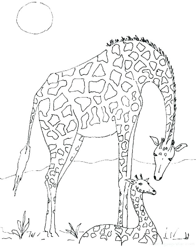Giraffe Coloring Pages To Print Vanda 636x800 Giraffe Coloring Pages To Print Vanda