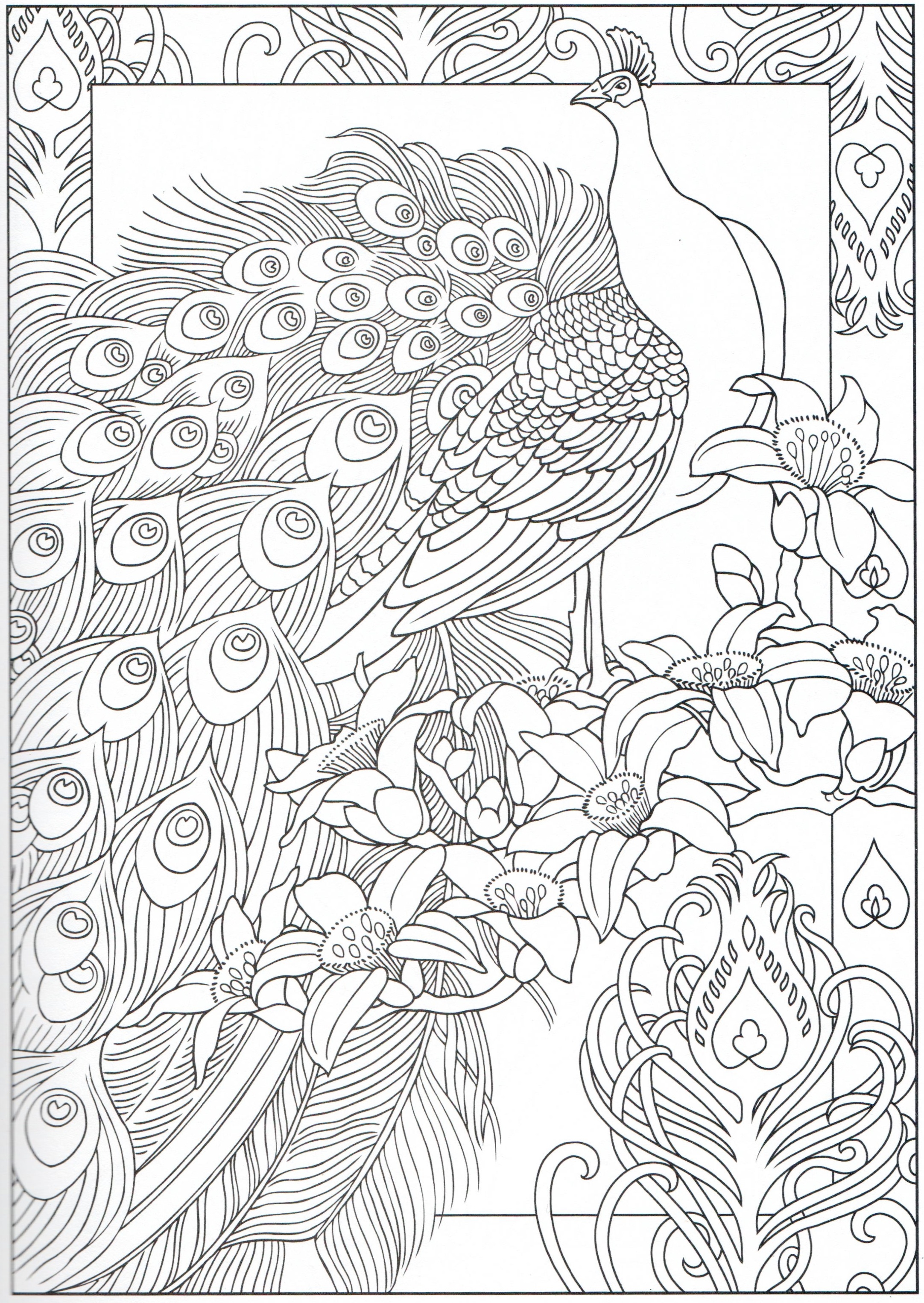 Free Grayscale Coloring Pages at GetColorings.com | Free printable ...