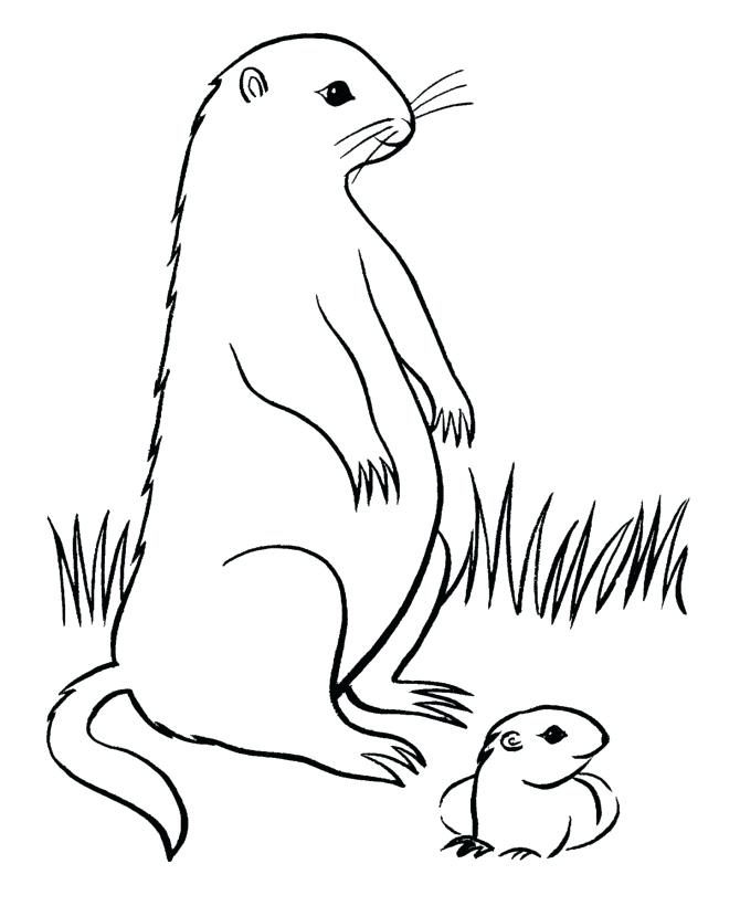 Groundhog Coloring Pages Graduation Coloring Pages To Print 670x820 Groundhog Coloring Pages Graduation Coloring Pages To Print