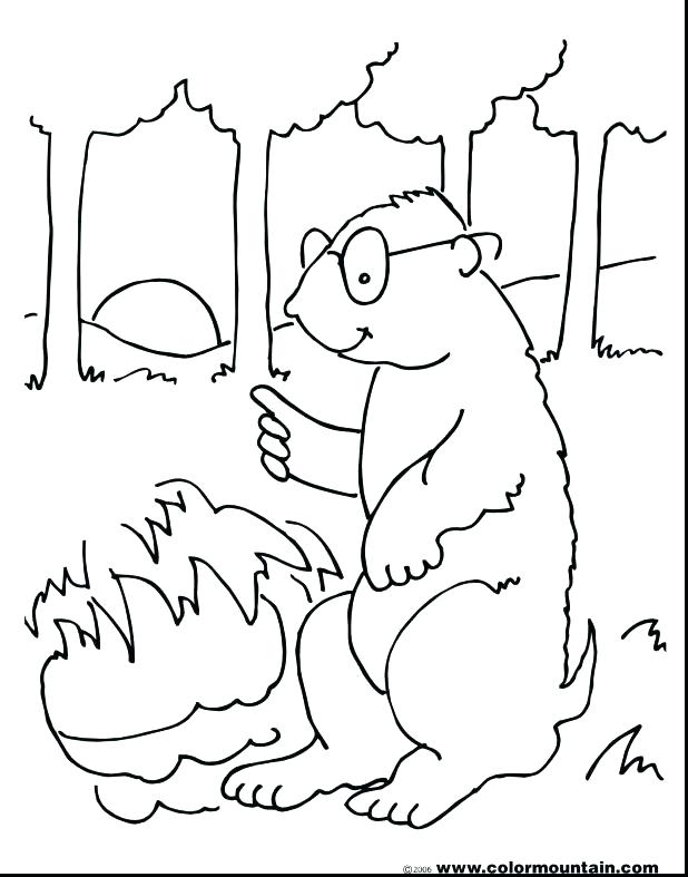 Free Groundhog Coloring Pages at GetColorings.com | Free printable