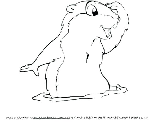 Groundhog Day Coloring Pages Groundhog Day Coloring Pages 594x468 Groundhog Day Coloring Pages Groundhog Day Coloring Pages