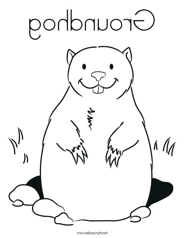 Coloring Pages Groundhog Coloring Pages Angry Ground Hog To Medium 616x796 Coloring Pages Groundhog Coloring Pages Angry Ground Hog To Medium