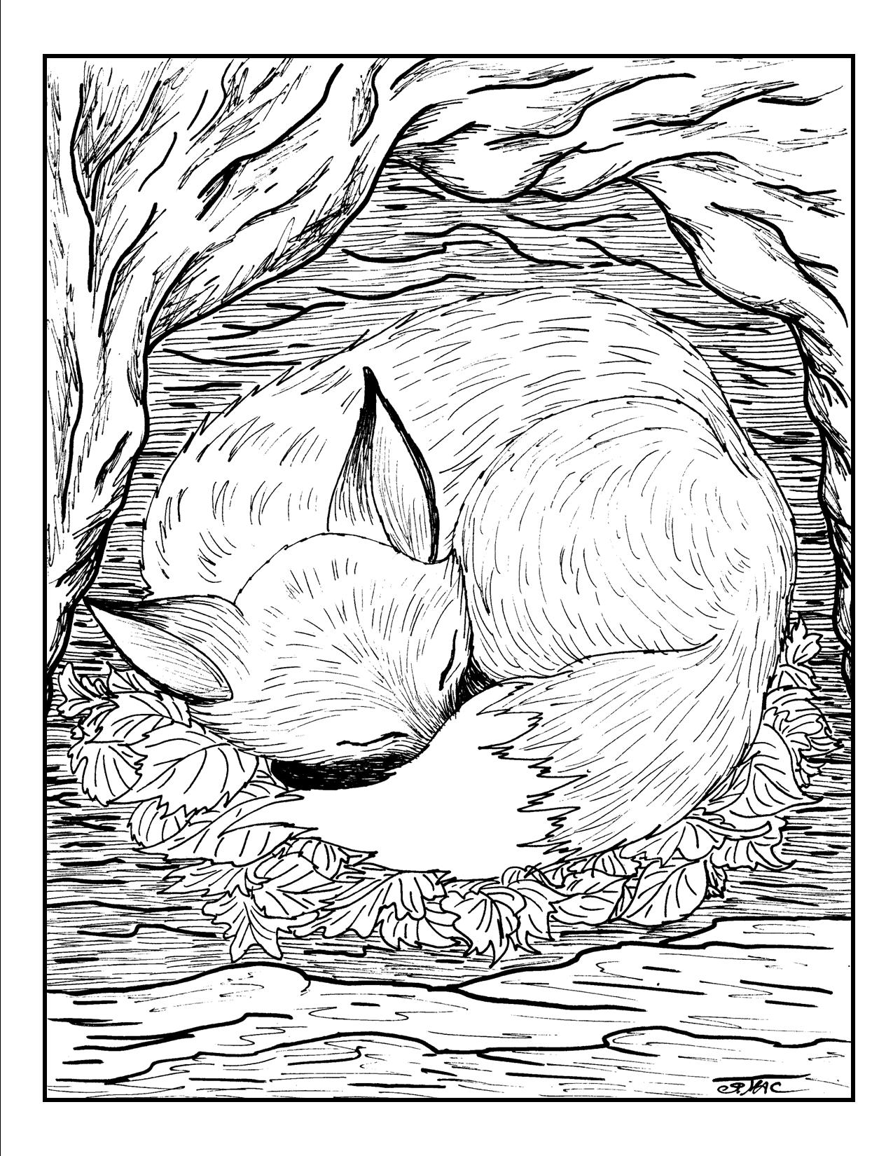 Free Adult Coloring Pages S.mac's Place To Be 1275x1650 Free Adult Coloring Pages S.mac's Place To Be