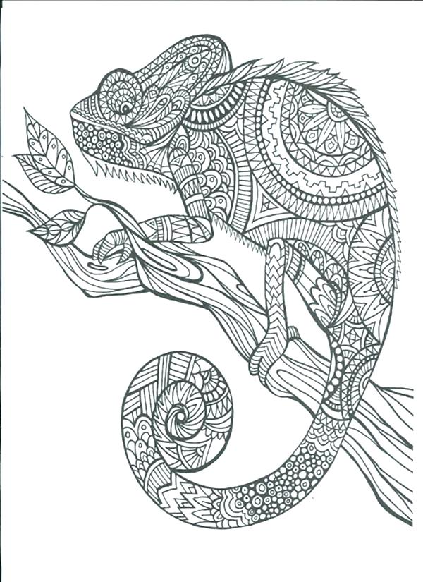 Free Art Coloring Pages Free Adult Coloring Pages To Print Free 600x825 Free Art Coloring Pages Free Adult Coloring Pages To Print Free