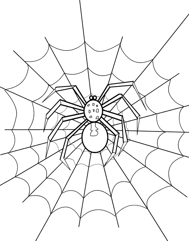 612x777 Spider Coloring Pages Beautiful Coloring Page Spider Halloween