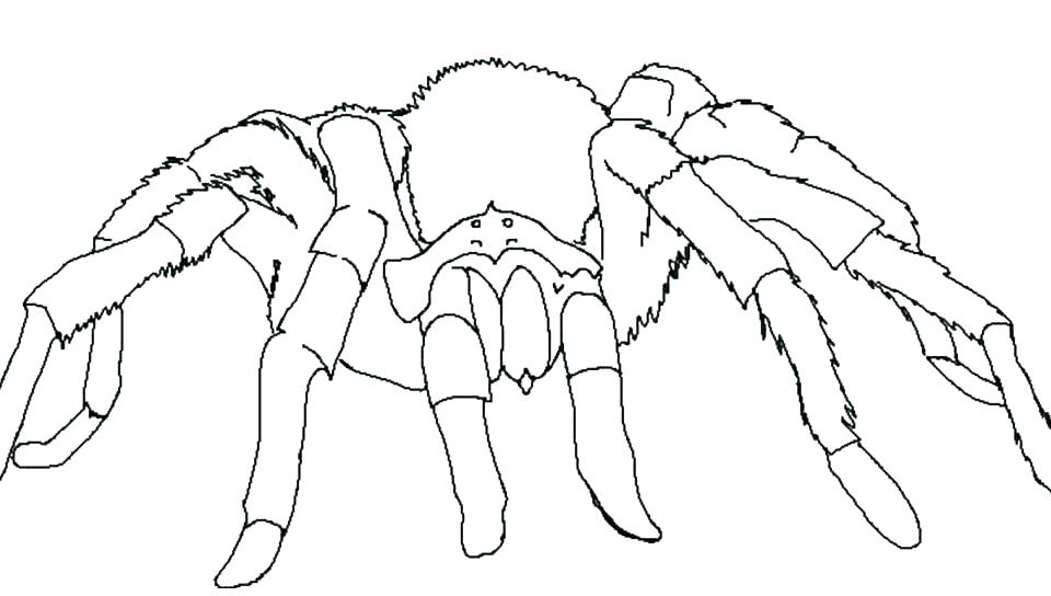 960x544 Spiders Coloring Pages Halloween Spider Coloring Pages Printable