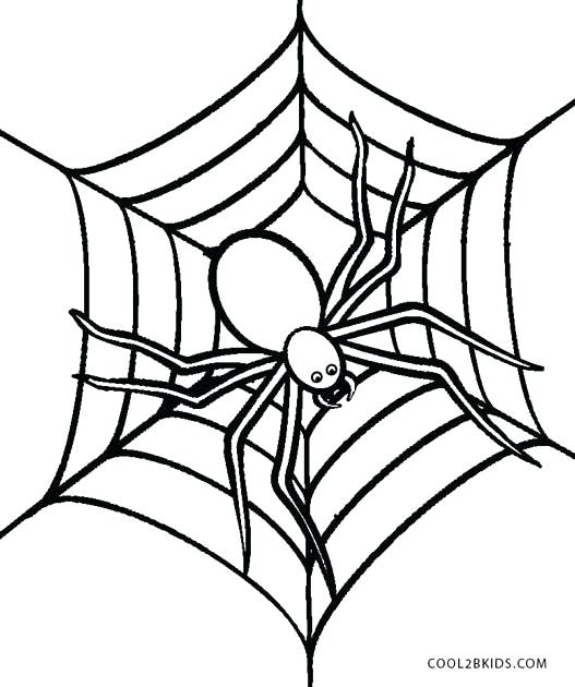 527x630 Free Printable Spider Coloring Pages For Kids Spider Coloring