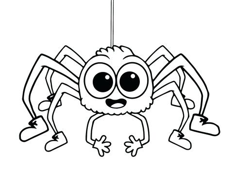 480x360 Free Spider Coloring Pages B Free Spider Colouring Pages