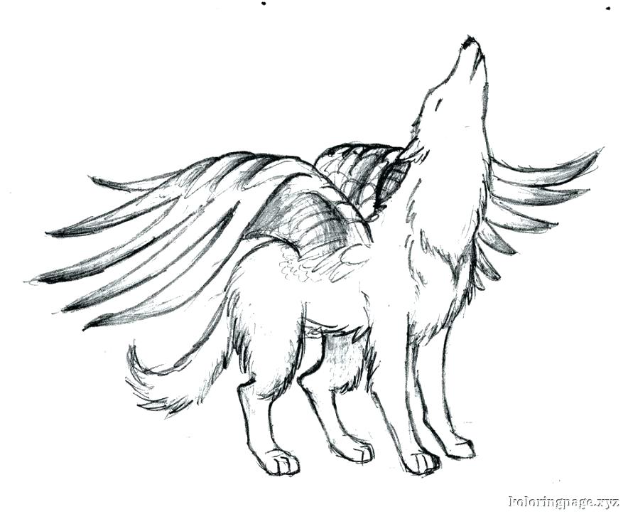 884x730 Horse Coloring Pages Free Detailed Horse Coloring Pages Free