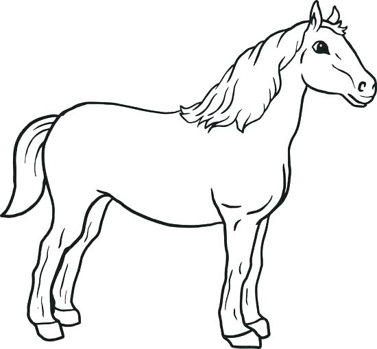 550x509 Realistic Horse Coloring Pages Online