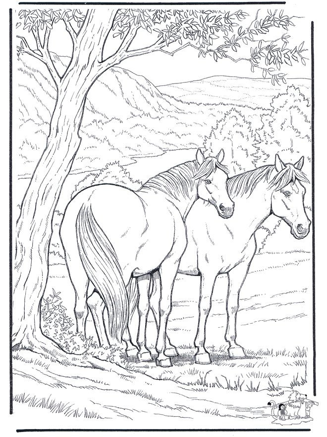 660x880 Free Horse Coloring Pages New Animal Coloring Pages For Adults