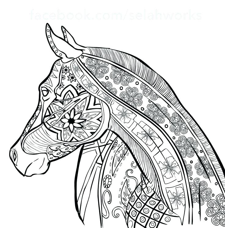 736x747 Horse Color Pages Horse Coloring Page Horse Coloring Pages