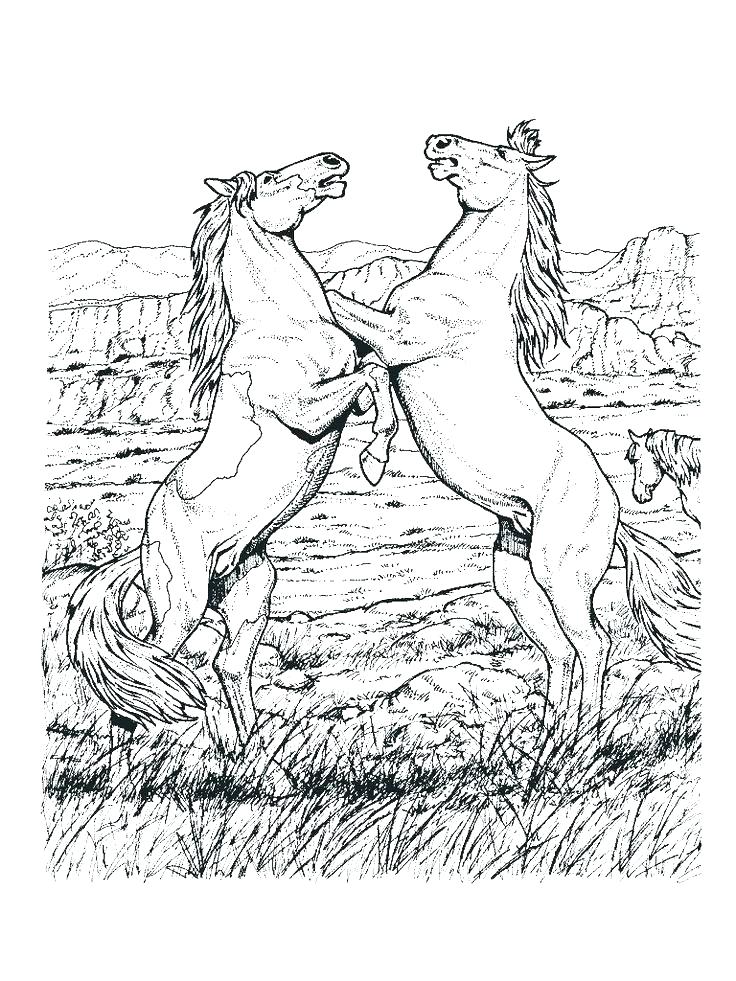 736x981 Horse Coloring Pages For Adults Mustang Horse Coloring Pages Horse